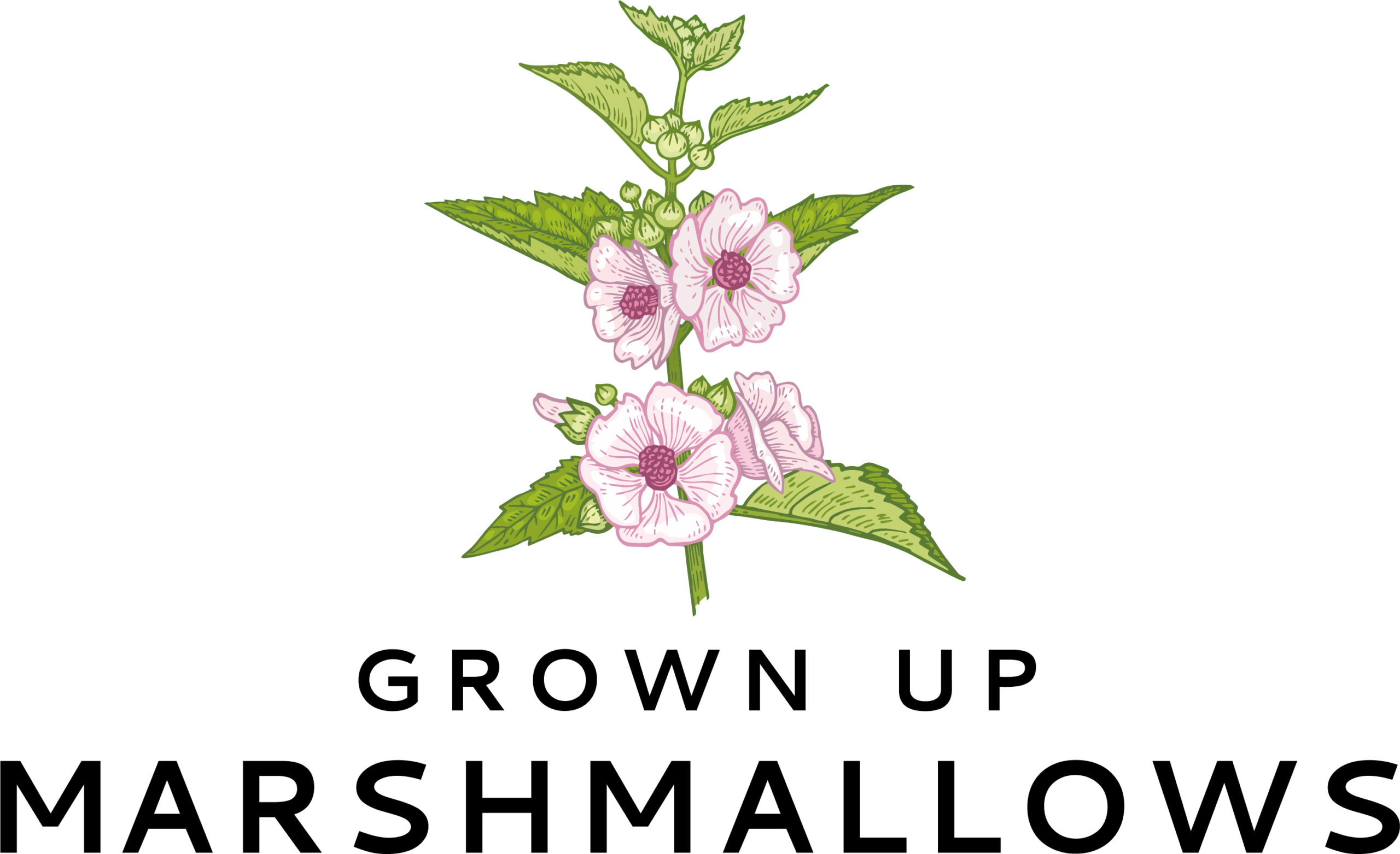 Grown up Marshmallows